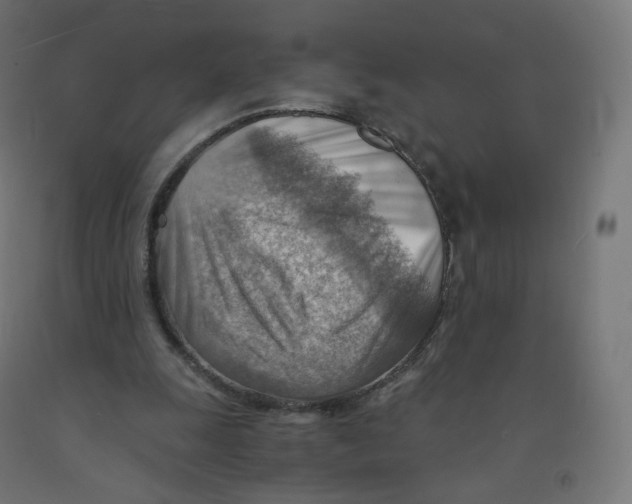 X0000090880247200708241946