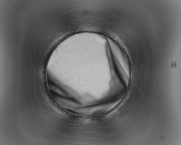 X0000090880249200708241946