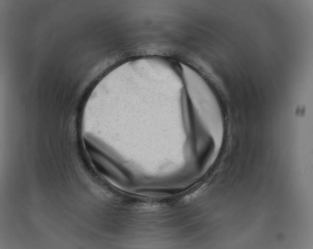 X0000090880250200708241946