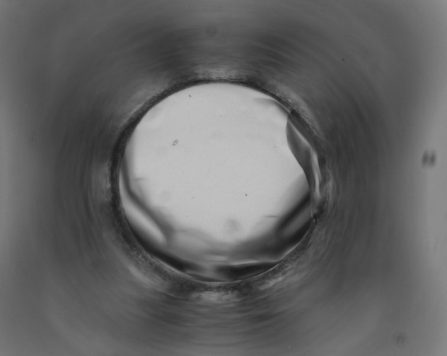 X0000090880251200708241946