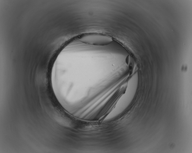 X0000090880252200708241946