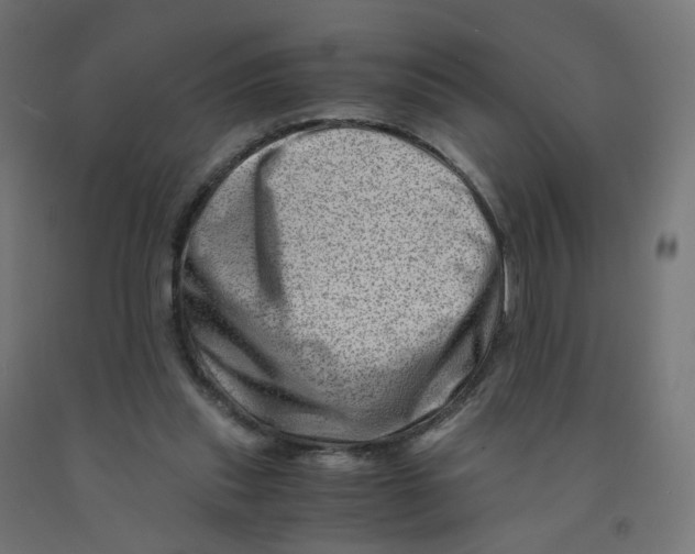 X0000090880253200708241946