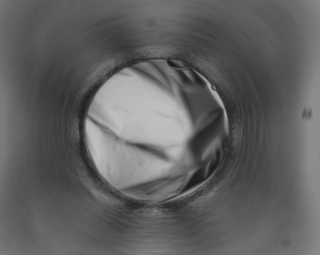 X0000090880254200708241946