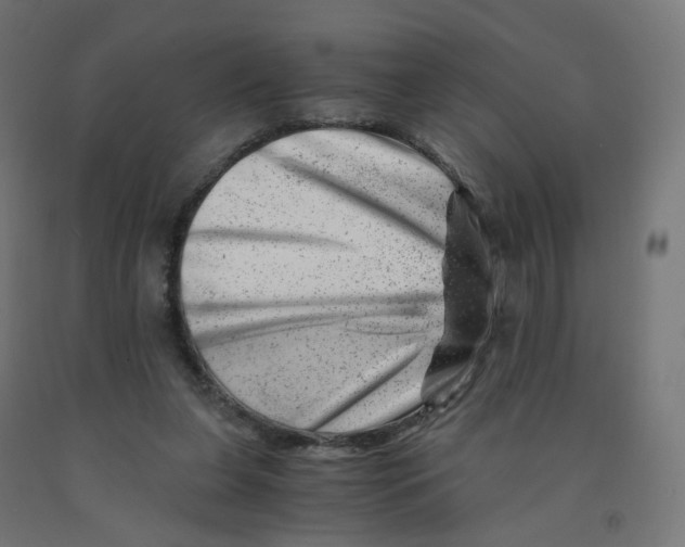 X0000090880255200708241946