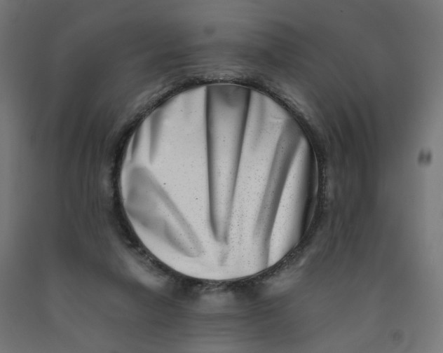 X0000090880258200708241946