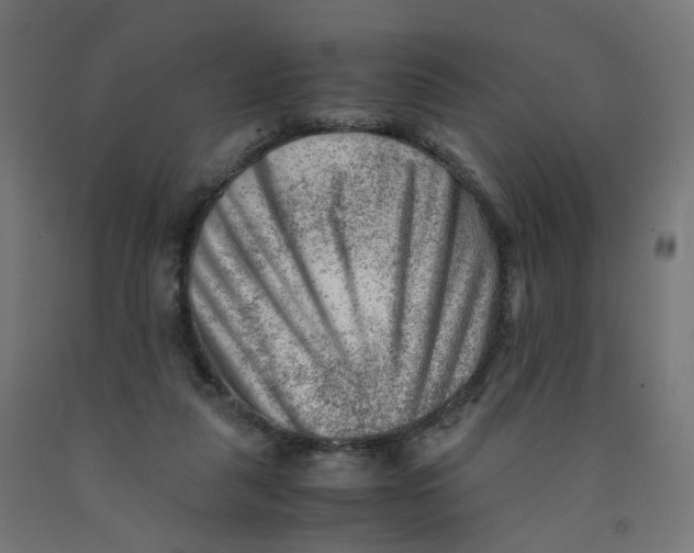 X0000090880259200708241946