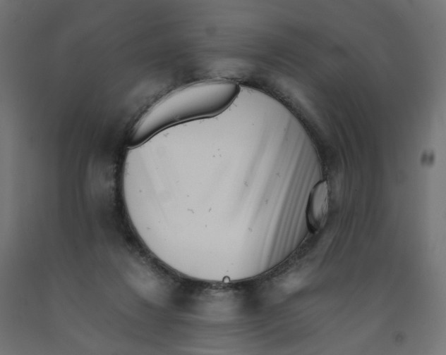 X0000090880260200708241946