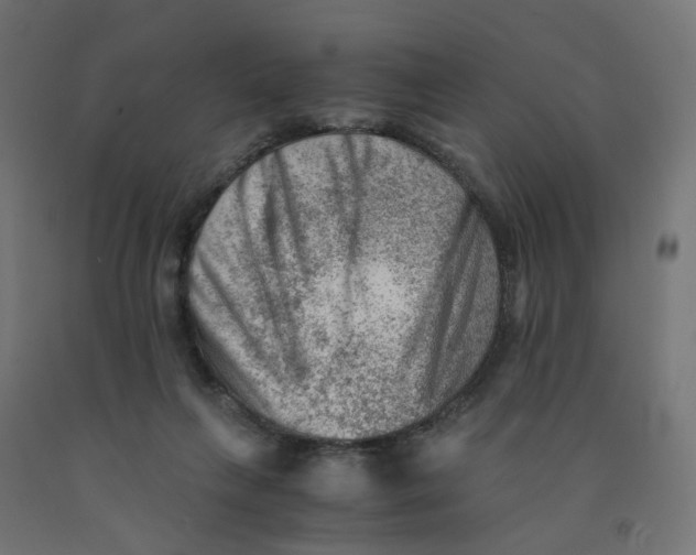 X0000090880263200708241946