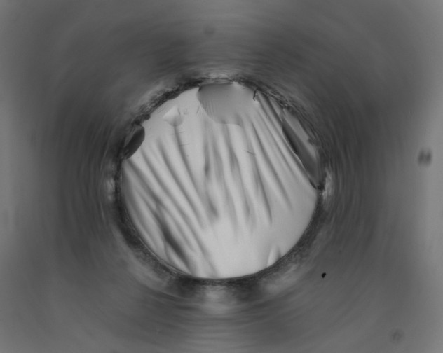 X0000090880264200708241946