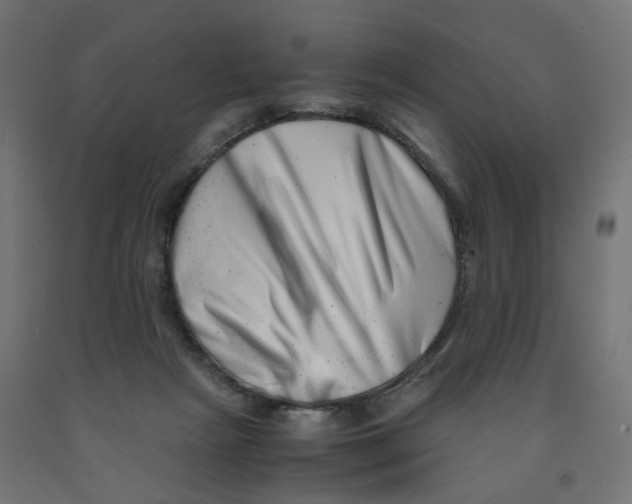 X0000090880265200708241946