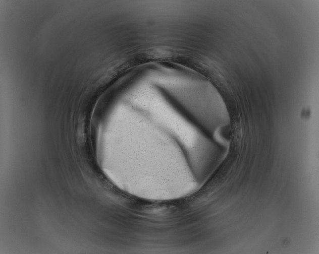 X0000090880267200708241946