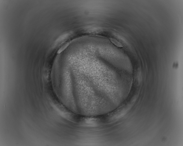 X0000090880268200708241946