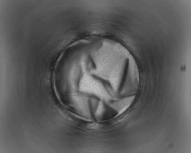 X0000090880269200708241946