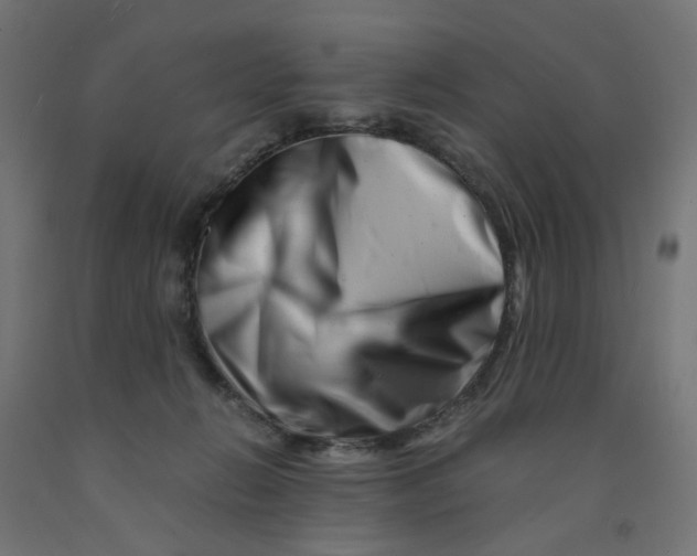 X0000090880270200708241946