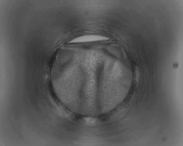 X0000090880272200708241946