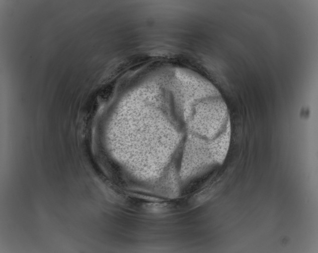 X0000090880273200708241946