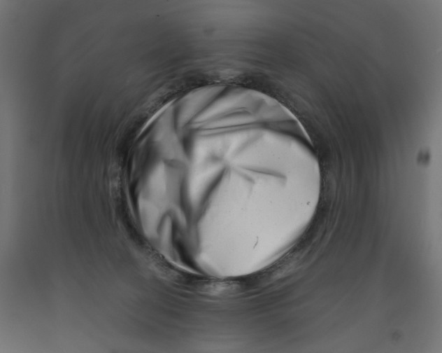 X0000090880274200708241946