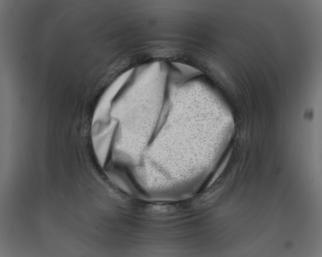 X0000090880277200708241946