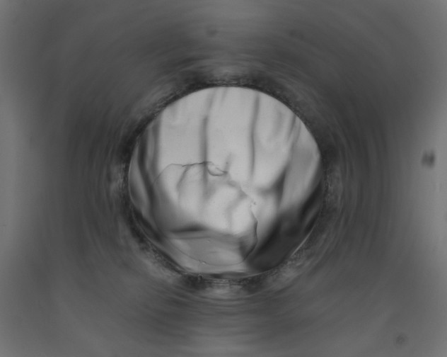 X0000090880278200708241946