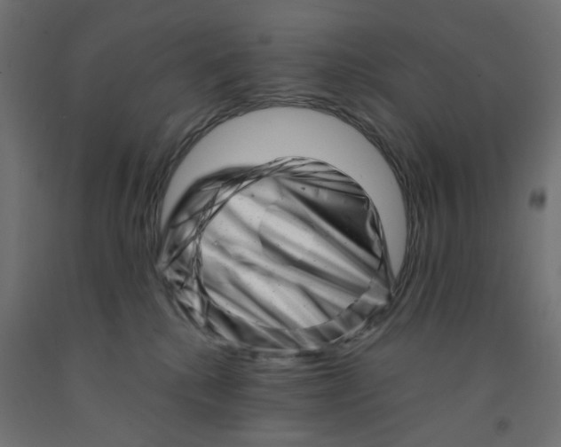 X0000090880280200708241946