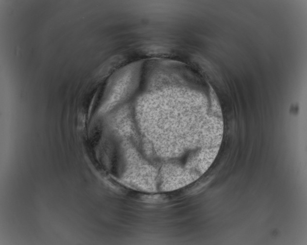 X0000090880281200708241946