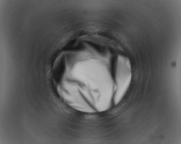 X0000090880283200708241947