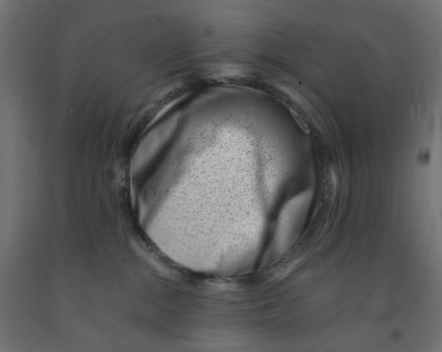 X0000090880284200708241947