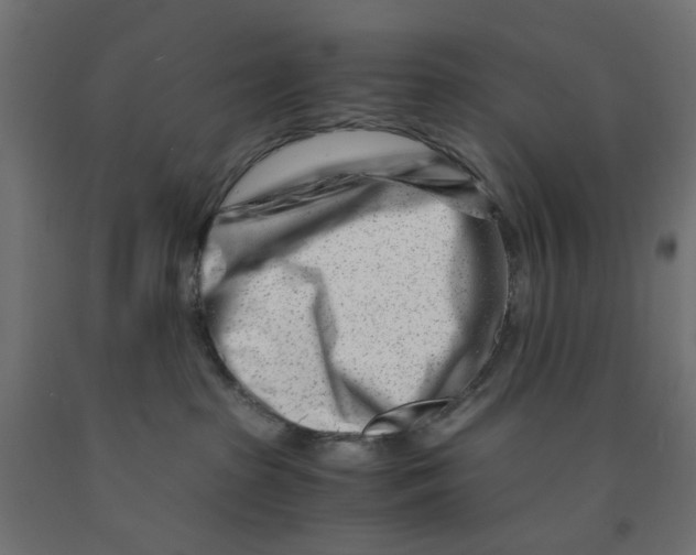 X0000090880285200708241947