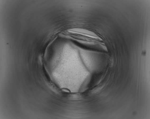 X0000090880286200708241947