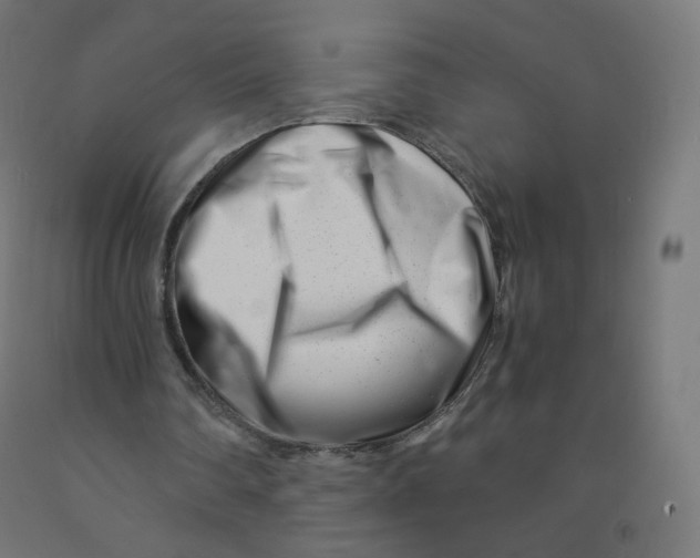 X0000090880290200708241946