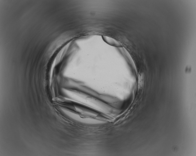 X0000090880291200708241946