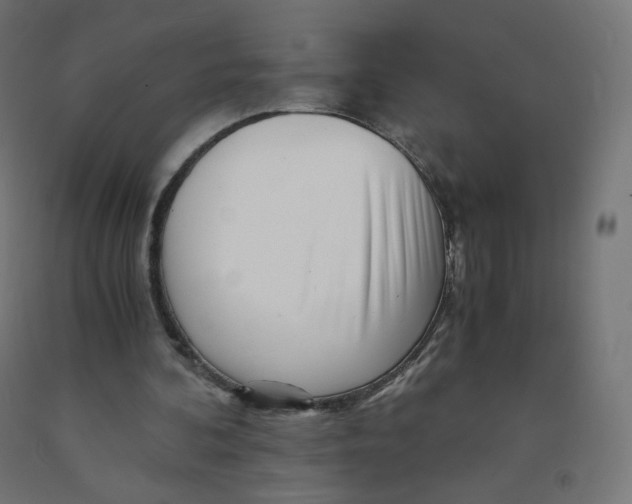 X0000090880292200708241946