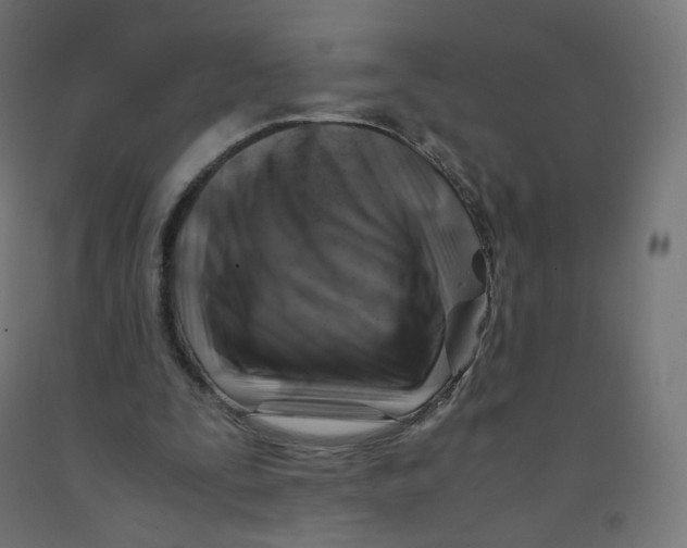 X0000090880295200708241946