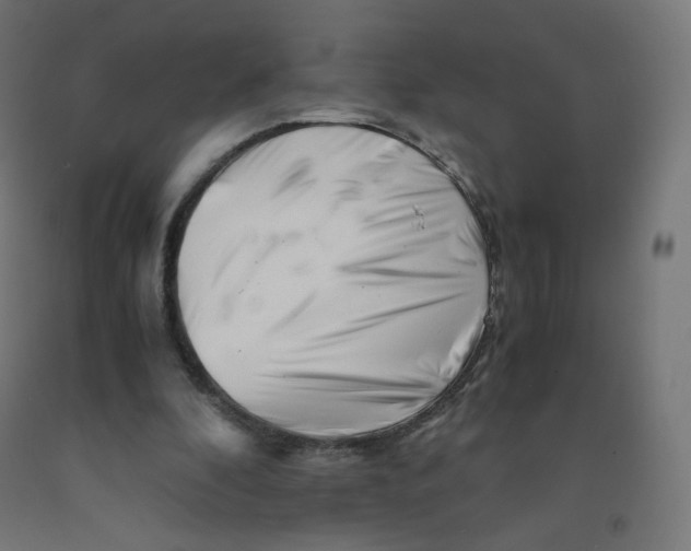 X0000090880296200708241946