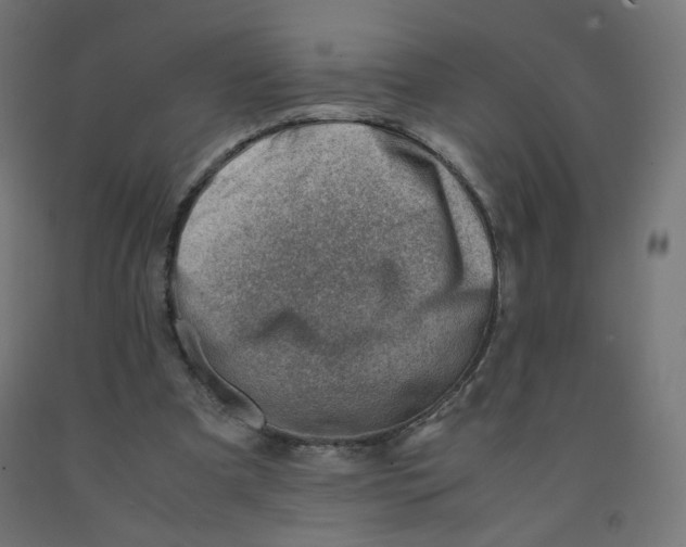 X0000090880297200708241946