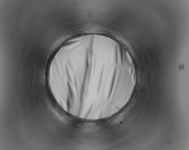 X0000090880298200708241946