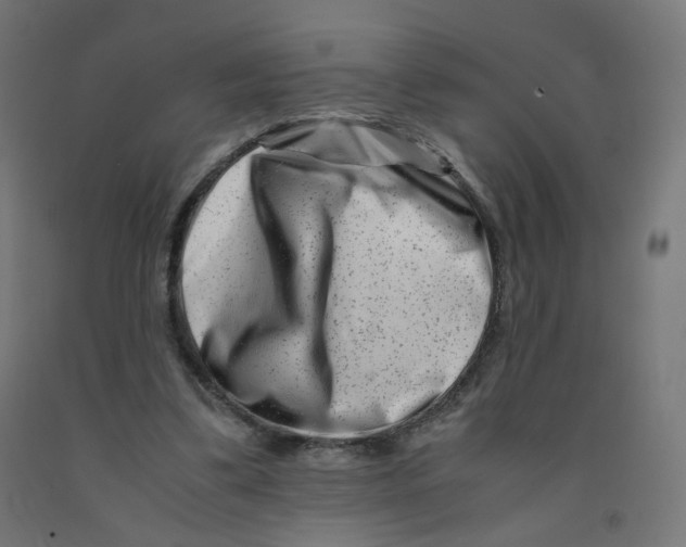 X0000090880299200708241946