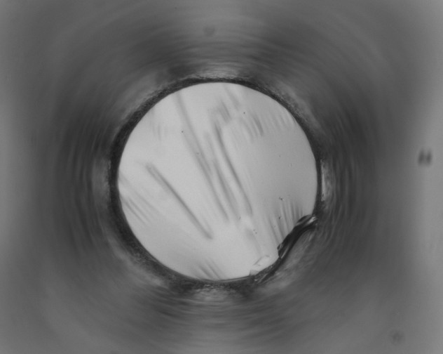 X0000090880300200708241946