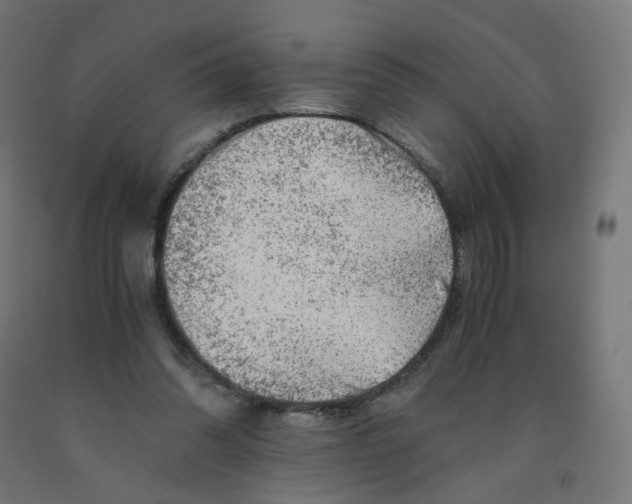 X0000090880302200708241946