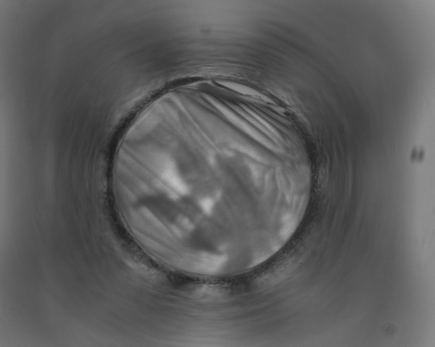 X0000090880303200708241946