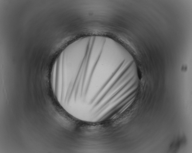 X0000090880306200708241946