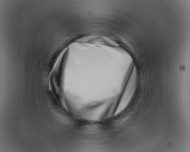 X0000090880307200708241946