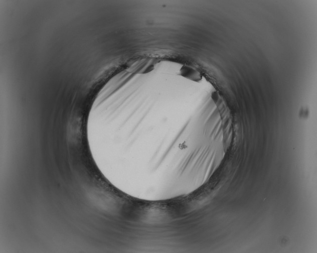 X0000090880308200708241946