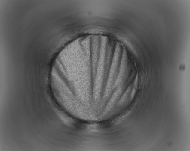 X0000090880309200708241946