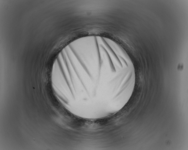 X0000090880311200708241946