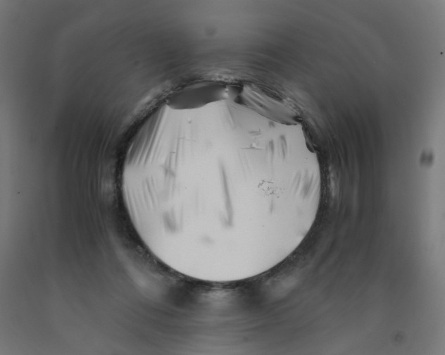 X0000090880312200708241946