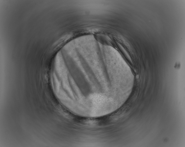 X0000090880313200708241946