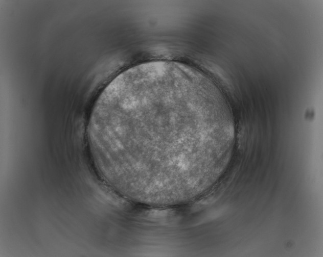 X0000090880314200708241946