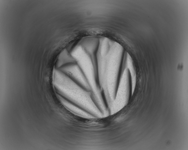 X0000090880315200708241946