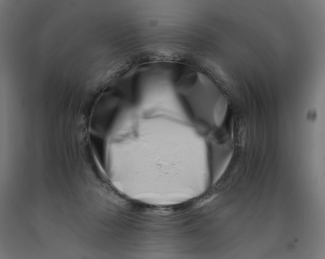 X0000090880318200708241946